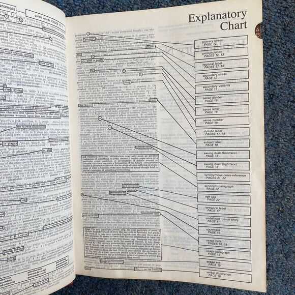 Websters vintage nineth new collegiate dictionary 1984 - Picture 4 of 5